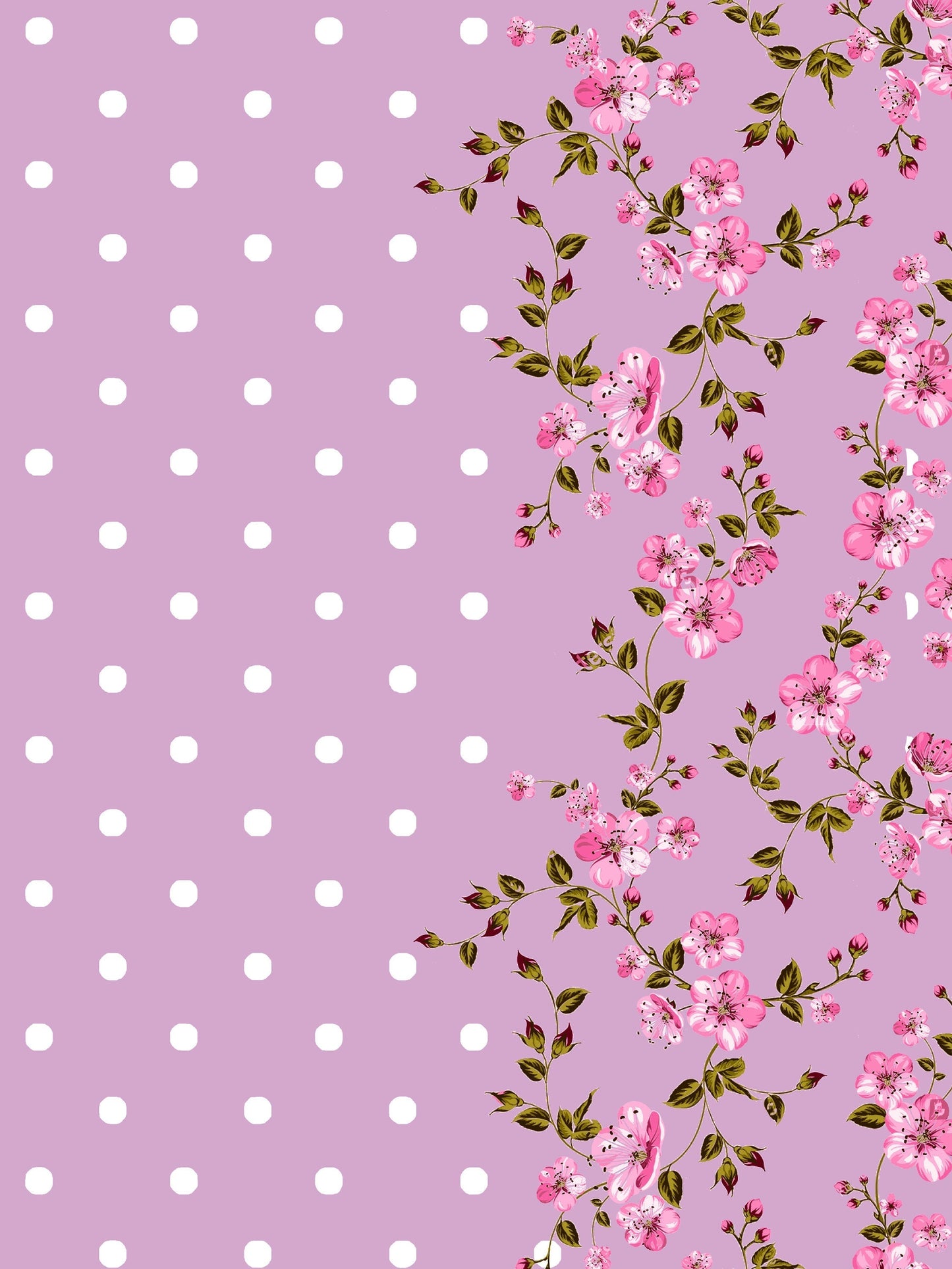 The Polka Way